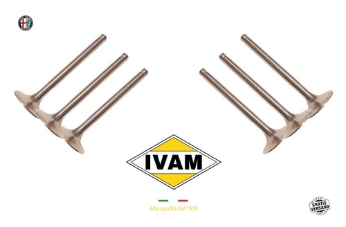 Inlet valve mm - 6x,